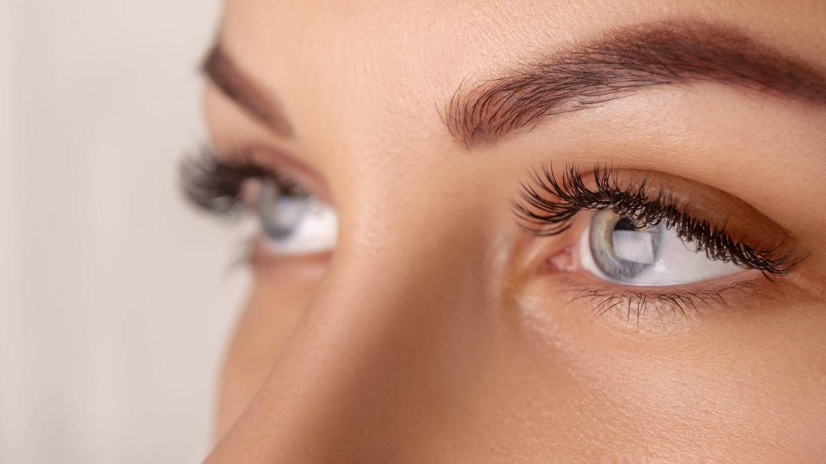 Kann mit Hilfe von Rizinusöl das Wimpernwachstum angeregt werden?