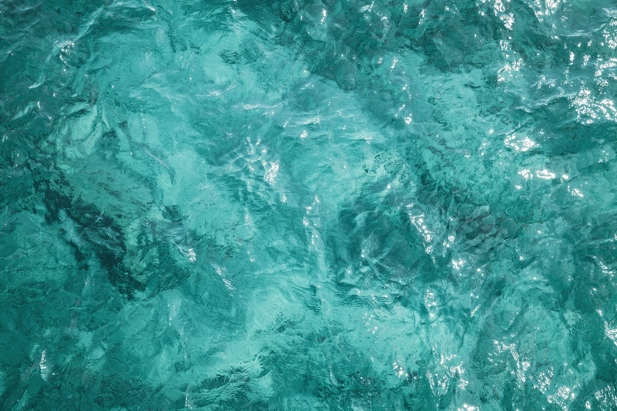 Ocean Power – Unser neues, innovatives Wimpernserum