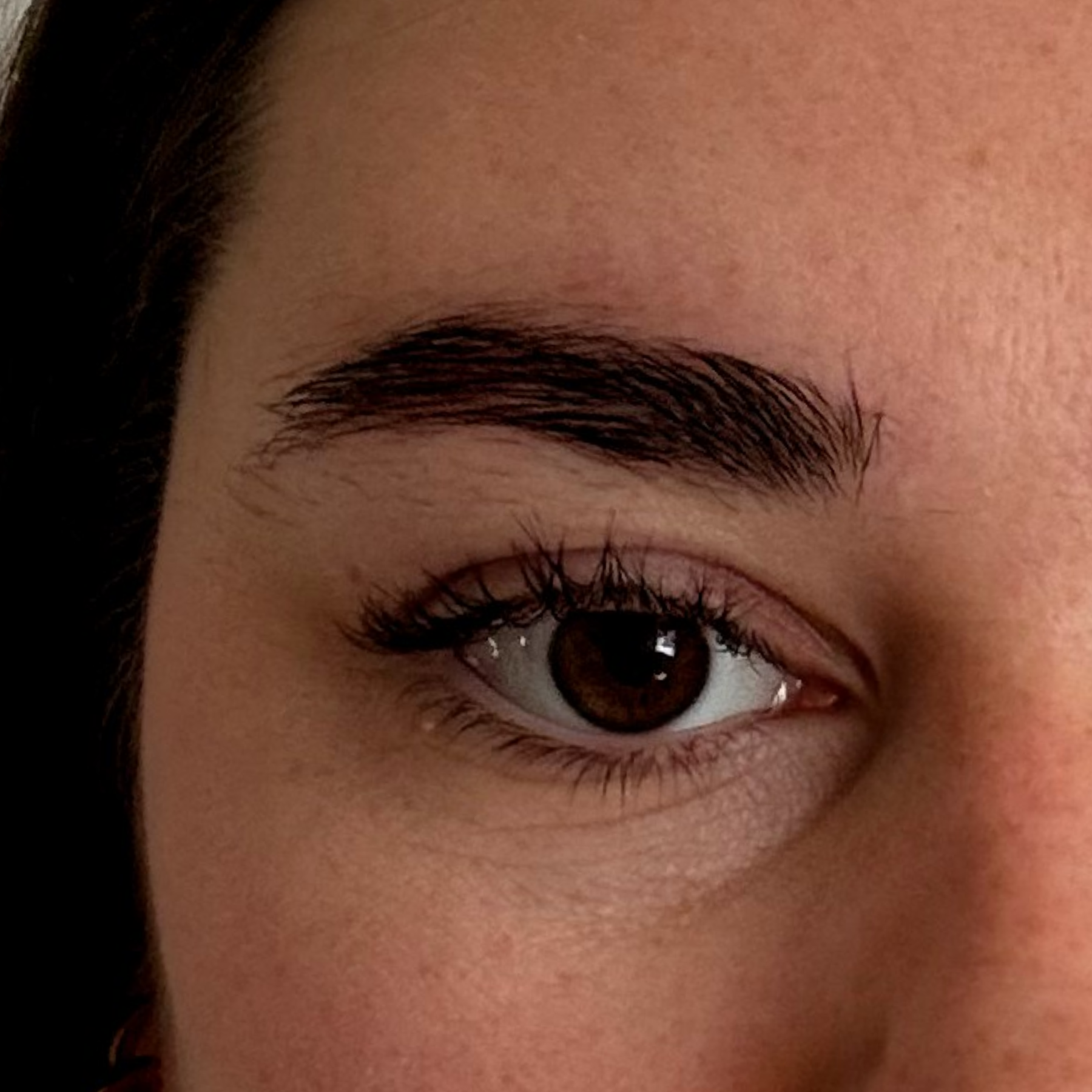 Vergleichsbild nach der Anwendung des Full Brow Augenbrauenserums