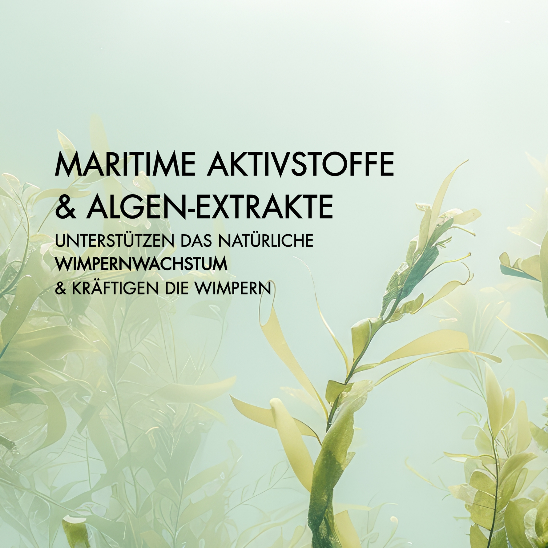 Vorteile der Inhaltsstoffe Ocean Power Wimpernserum