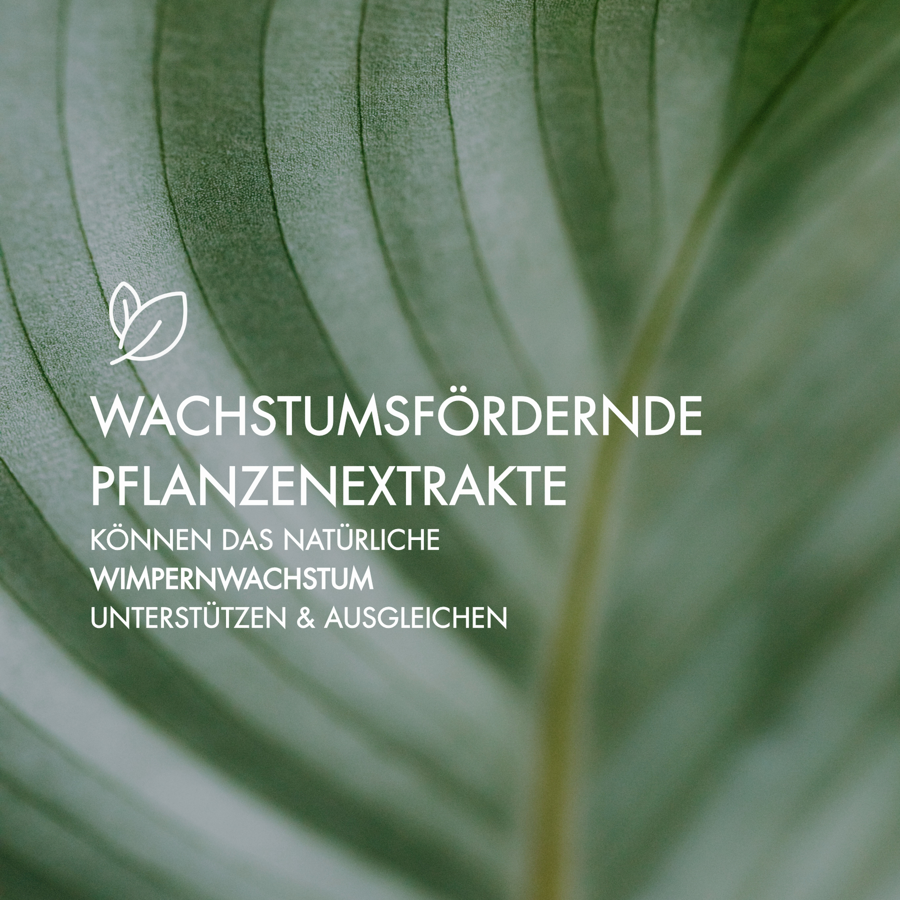 Vorteile der Inhaltsstoffe Sensitive Wimpernserum