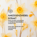 Ein Wirkstoff in der Hyalove Nachtcreme ist Narzissenzwiebelextrakt, der das Hautbild ausgleichen und natürliche Regeneration unterstützen kann