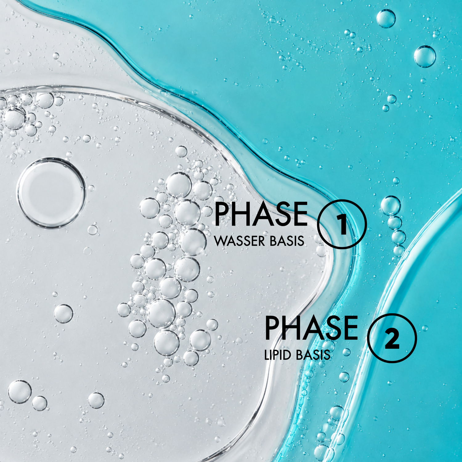 Zwei Flüssigkeiten, transparent und hellblau mit der Beschriftung: "Phase 1: Wasser Basis" und "Phase 2: Lipid Basis"
