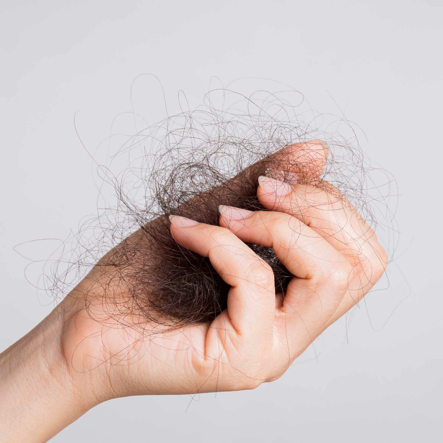 Eine Hand hält einen Büschel langer ausgefallener Haare