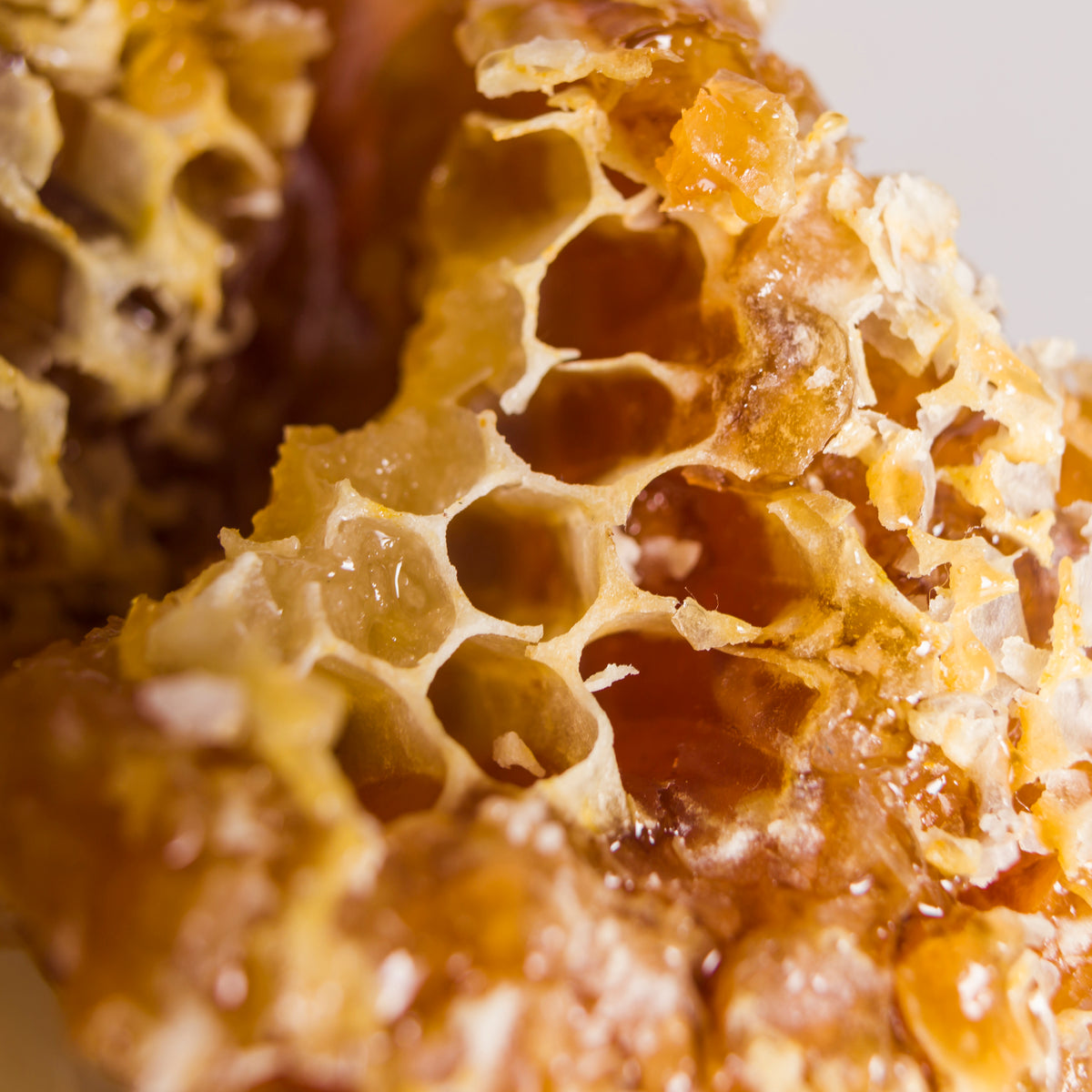 Nahaufnahme Bienenwachs Wabenstruktur Honig