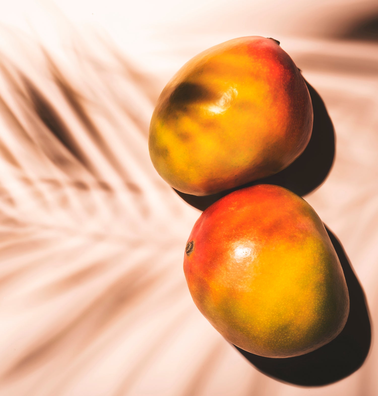 Nachaufnahme von zwei reifen Mangos