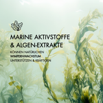Vorteile der Inhaltsstoffe Ocean Power Wimpernserum