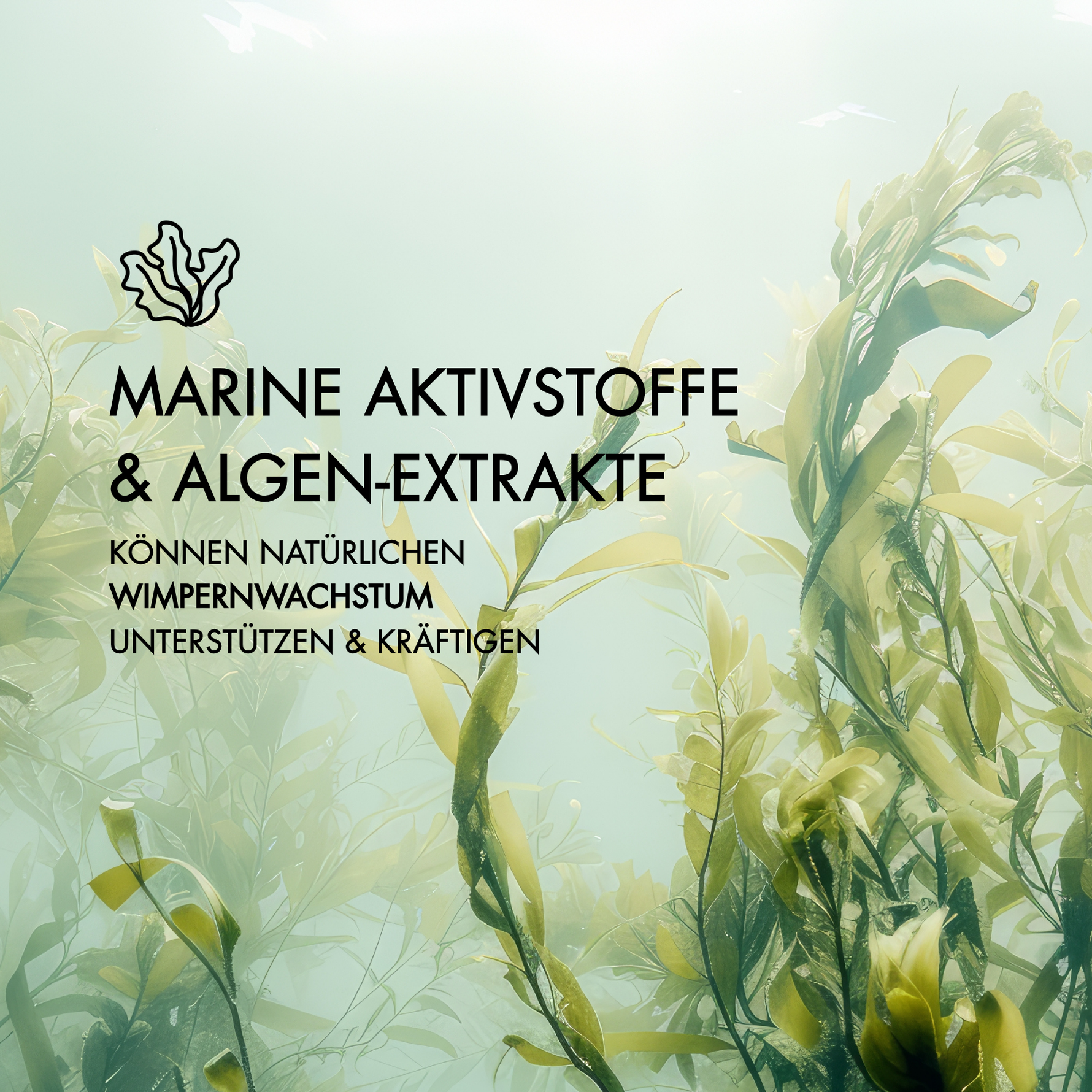 Vorteile der Inhaltsstoffe Ocean Power Wimpernserum
