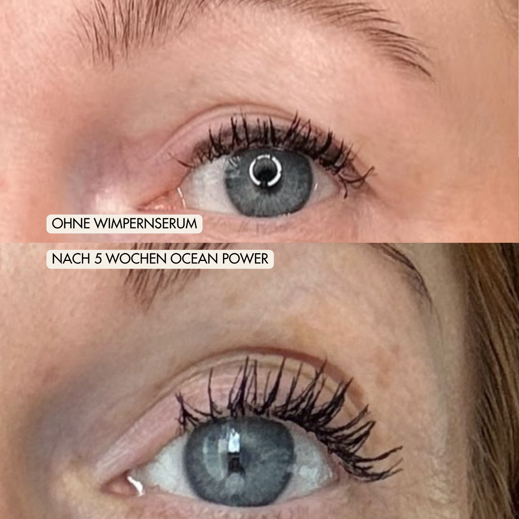 Vorher Nachher nach der Anwendung des Ocean Power Wimpernserum nach 8 Wochen V2